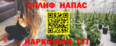 a pvp Будённовск
