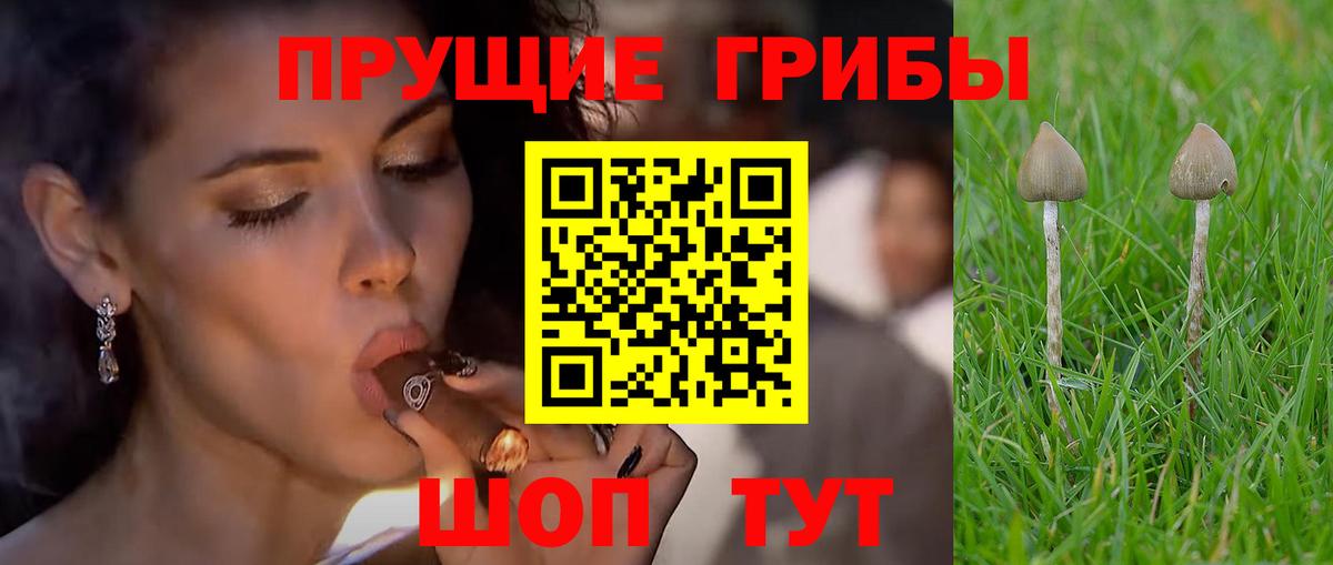 Псилоцибиновые грибы ЛСД  Вход с VPN  где найти наркотики  Нягань 